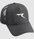 Required Gray American style truck hat